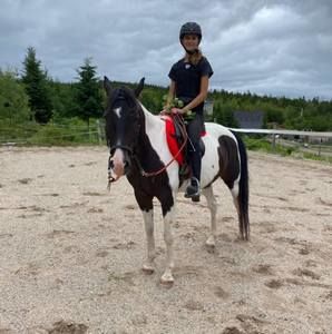 Meet your Posher, Leia